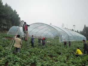 云南省農(nóng)業(yè)廳官方網(wǎng)站——云南農(nóng)業(yè)信息網(wǎng) 您的農(nóng)業(yè)信息咨詢首選平臺(tái)