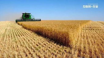 浙江來(lái)淘信息科技 互聯(lián)網(wǎng)+農(nóng)業(yè)的六種實(shí)現(xiàn)途徑及農(nóng)業(yè)信息咨詢新范式